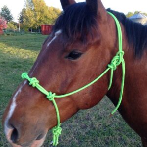 1/4" Stiff Training Rope Halter