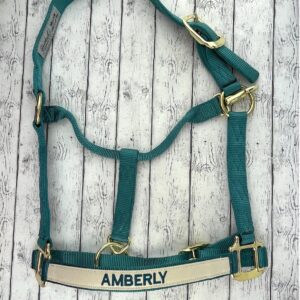 Personalized Adjustable Horse Halter